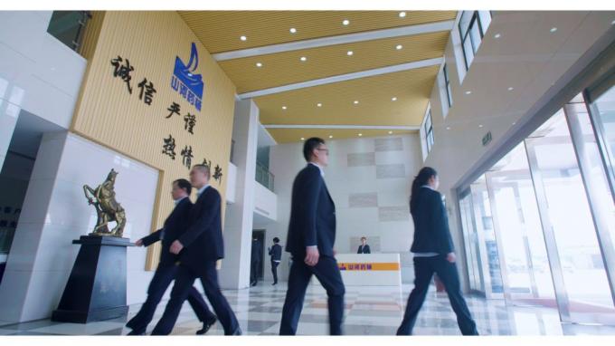 China′ S Competitive Medicinal Grade Anhydrous Dibasic Calcium Phosphate