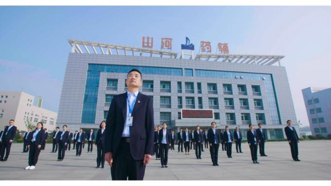 China Factory Supply Sodium Stearyl Fumarate CAS 4070-80-8