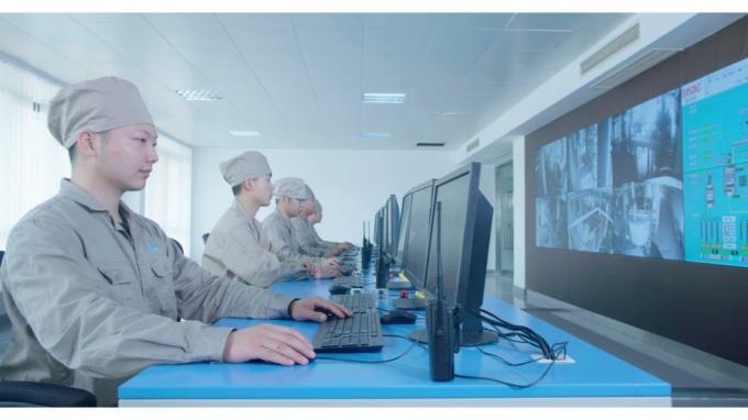 China Factory Supply Sodium Stearyl Fumarate CAS 4070-80-8