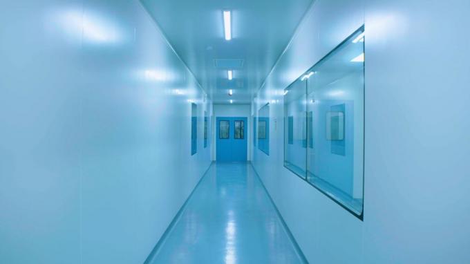 China Factory Supply Sodium Stearyl Fumarate CAS 4070-80-8